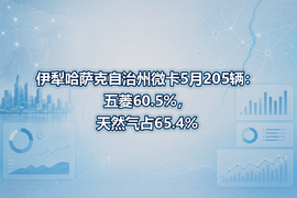 伊犁哈萨克自治州微卡5月205辆：五菱60.5%，天然气占65.4%