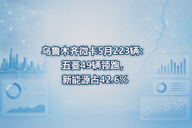 乌鲁木齐微卡5月223辆:五菱49辆领跑,新能源占42.6%