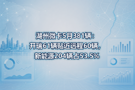 湖州微卡5月381辆:开瑞61辆贴近远程60辆,新能源204辆占53.5%