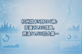 杭州微卡5月286辆：五菱27.3%领跑，燃油54.5%仍占第一