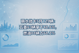 丽水微卡5月129辆:五菱63辆拿下48.8%,燃油88辆占68.2%
