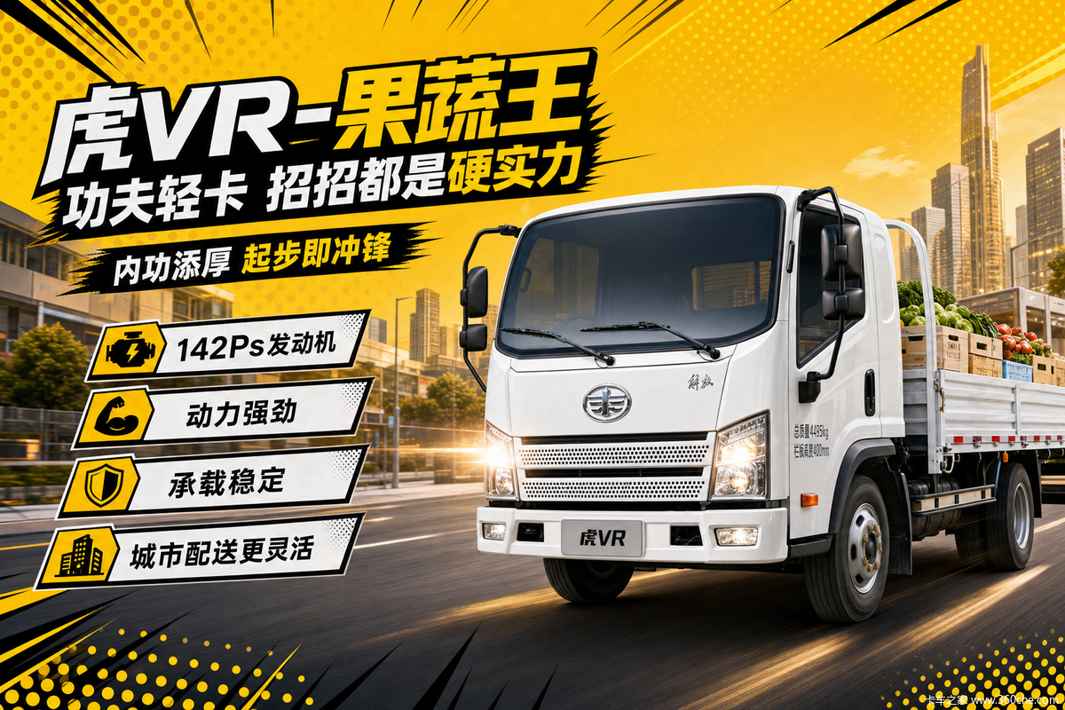 功夫轻卡虎VR