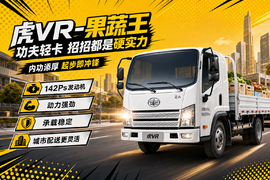 功夫轻卡虎VR