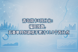 青岛微卡6月分化:福田领跑,五菱单月份额低于累计13.0个百分点