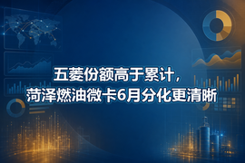 五菱份额高于累计，菏泽燃油微卡6月分化更清晰
