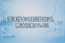 菏泽微卡6月同比转正，累计仍差16.4%