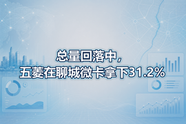 总量回落中，五菱在聊城微卡拿下31.2%
