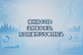 德州微卡6月：头部集中未变，东风和菱势汽车单月抬头