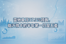 雷驰单月37.3%领跑,临沂微卡的半年第一仍是五菱