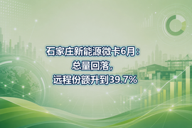 石家庄新能源微卡6月：总量回落，远程份额升到39.7%