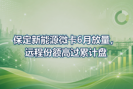 保定新能源微卡6月放量，远程份额高过累计盘