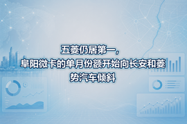 五菱仍居第一，阜阳微卡的单月份额开始向长安和菱势汽车倾斜