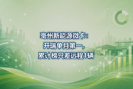 亳州新能源微卡:开瑞单月第一,累计榜只差远程1辆