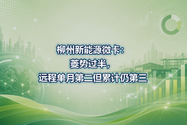 柳州新能源微卡：菱势过半，远程单月第二但累计仍第三