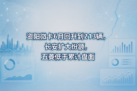 资阳微卡6月回升到213辆,长安扩大份额,五菱低于累计盘面
