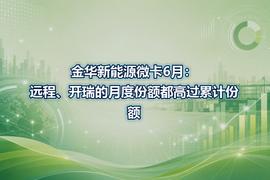 金华新能源微卡6月:远程、开瑞的月度份额都高过累计份额