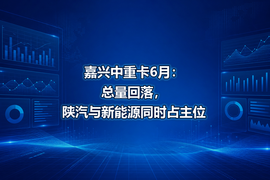 嘉兴中重卡6月:总量回落,陕汽与新能源同时占主位