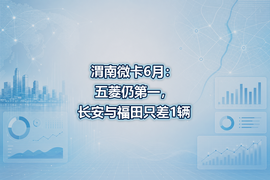 渭南微卡6月:五菱仍第一,长安与福田只差1辆