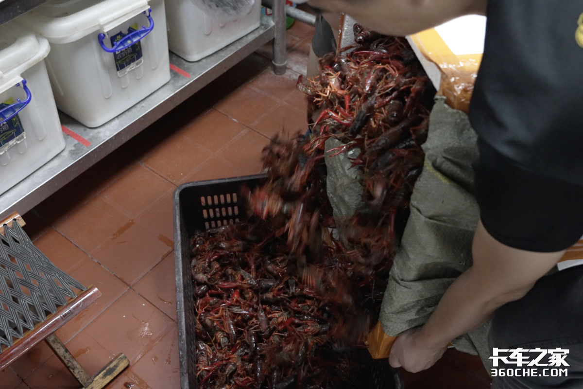 鲜运小龙虾 风味定乾坤 用乾坤K6E拉生鲜 它表现怎么样?
