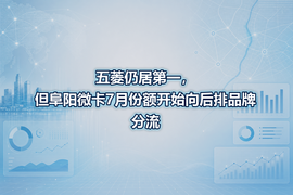 五菱仍居第一，但阜阳微卡7月份额开始向后排品牌分流