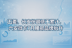 五菱、长安份额低于累计,六安微卡7月腰部品牌抬升