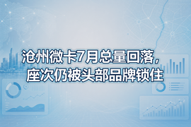 沧州微卡7月总量回落，座次仍被头部品牌锁住