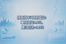 信阳微卡7月的错位:单月同比9.8%,累计仍为-9.3%
