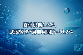 累计仍增1.3%,武汉轻卡7月单月同比-20.2%