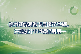 徐州新能源微卡月榜双29辆,开瑞累计114辆仍居第一