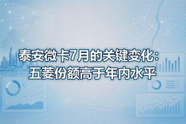泰安微卡7月的关键变化：五菱份额高于年内水平