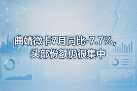 曲靖微卡7月同比-7.7%,头部份额仍很集中