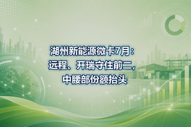 湖州新能源微卡7月：远程、开瑞守住前二，中腰部份额抬头