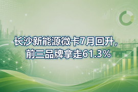长沙新能源微卡7月回升,前三品牌拿走61.3%