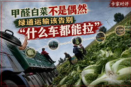 甲醛白菜不是偶然:绿通运输该告别“什么车都能拉”