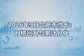 2026年9月合肥市微卡:月榜回升与累计分化