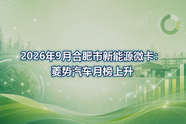 2026年9月合肥市新能源微卡：菱势汽车月榜上升