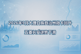 2026年9月大理白族自治州微卡回升，五菱长安逆势下滑
