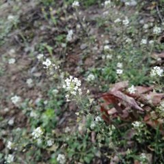 ����֮��